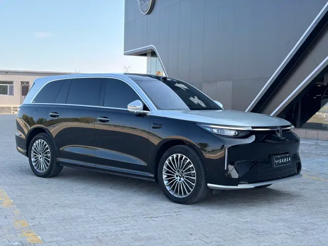 Wey V9X — Фото автомобиля 3