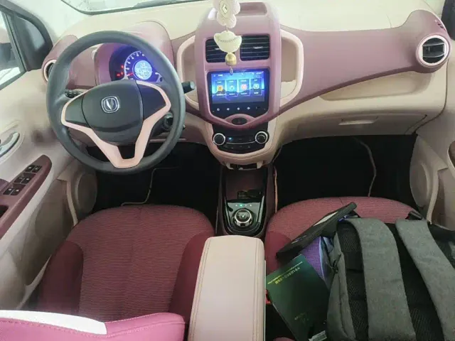 Changan Benben E-Star — Фото автомобиля 12