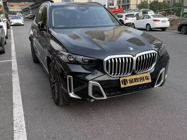 BMW X5 — Фото автомобиля 2