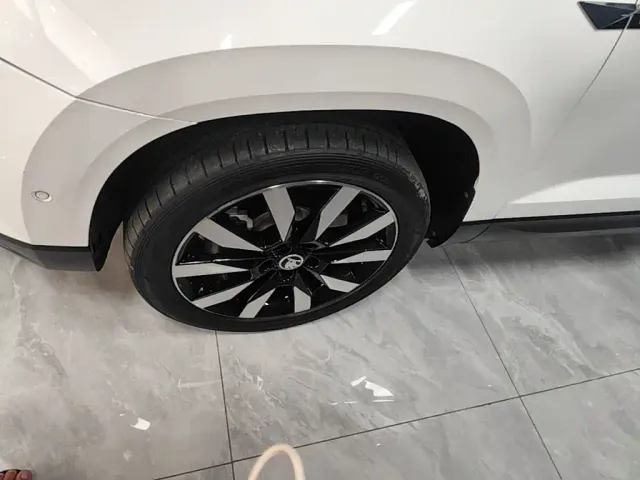Skoda Karoq — Фото автомобиля 22