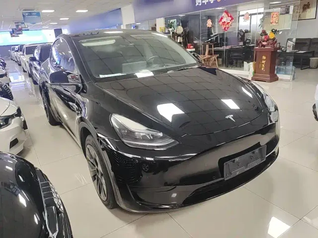 Tesla Model Y — Фото автомобиля 3