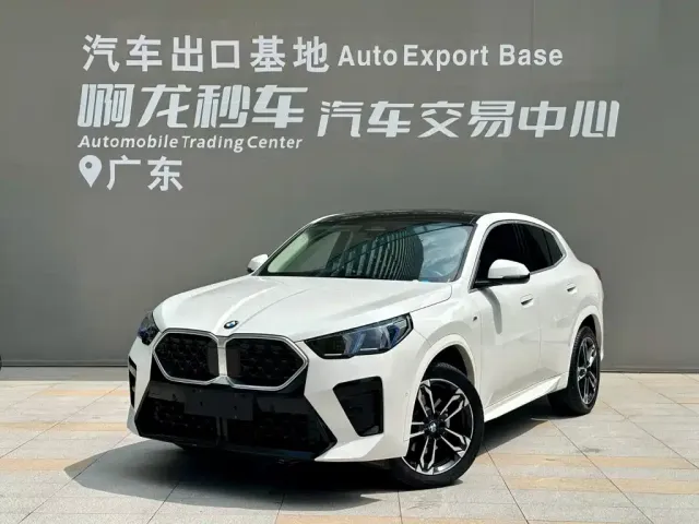 Фотография автомобиля — BMW X2