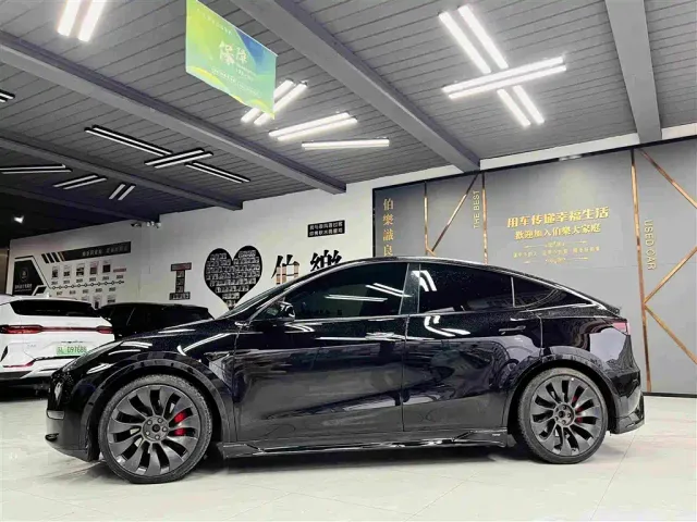 Tesla Model Y — Фото автомобиля 2