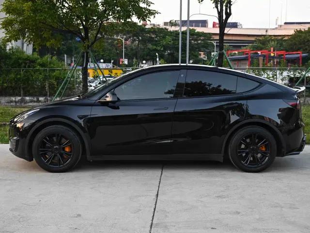 Tesla Model Y — Фото автомобиля 3