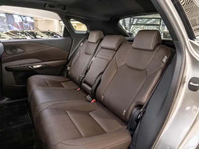 Lexus RX — Фото автомобиля 12