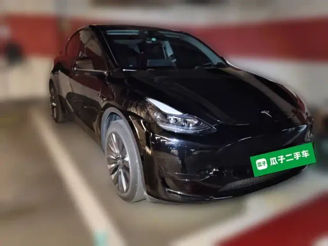Tesla Model Y — Фото автомобиля 3