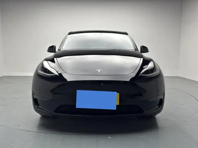 Tesla Model Y — Фото автомобиля 2