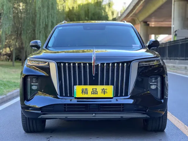 Hongqi E-HS9 — Фото автомобиля 2