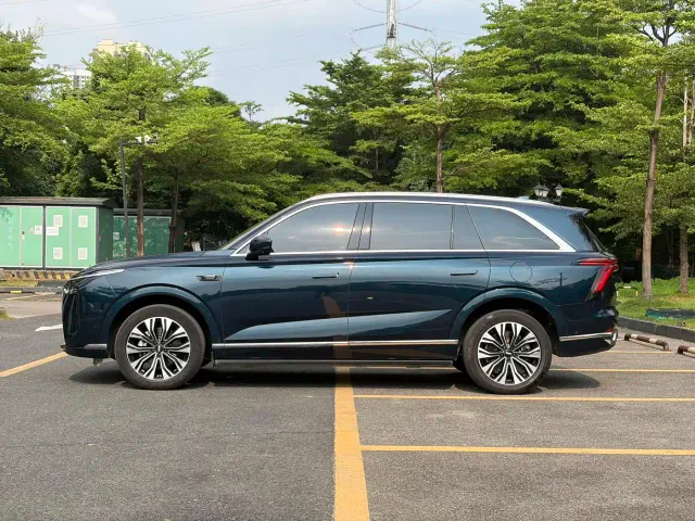 Wey Lanshan — Фото автомобиля 21