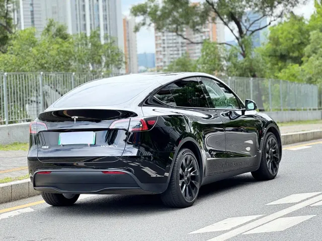 Tesla Model Y — Фото автомобиля 3