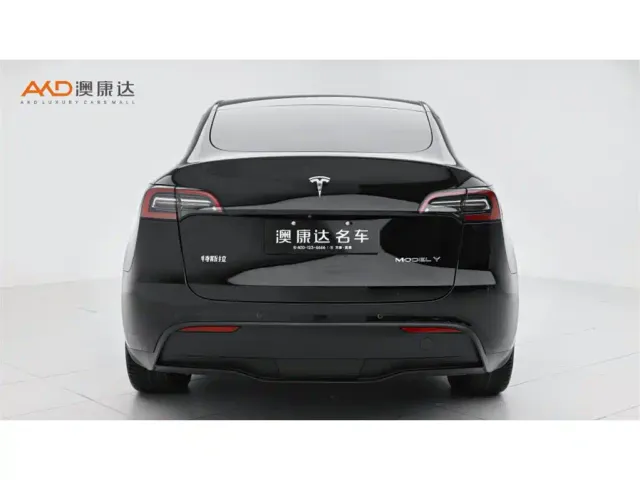 Tesla Model Y — Фото автомобиля 4