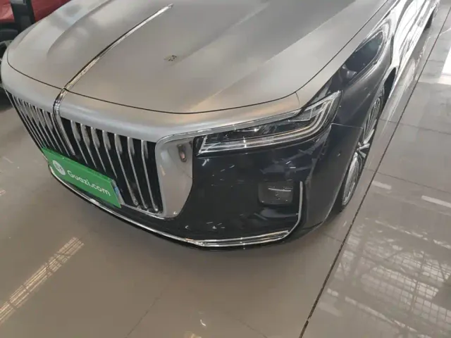 Hongqi H9 — Фото автомобиля 23