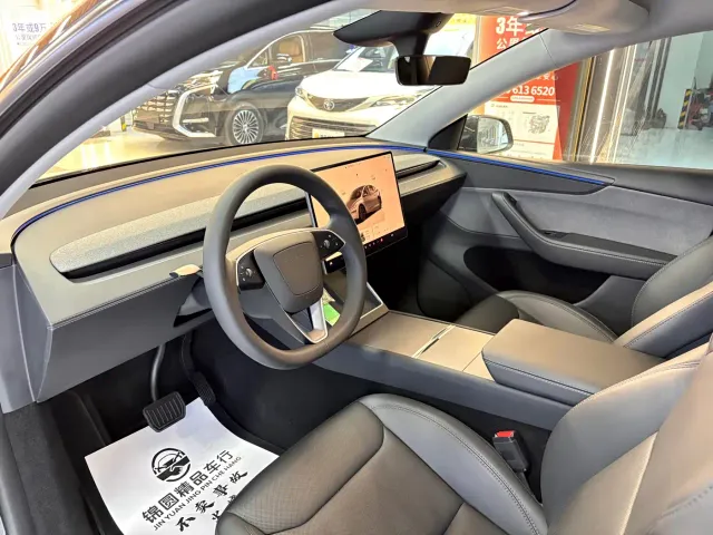 Tesla Model Y — Фото автомобиля 10
