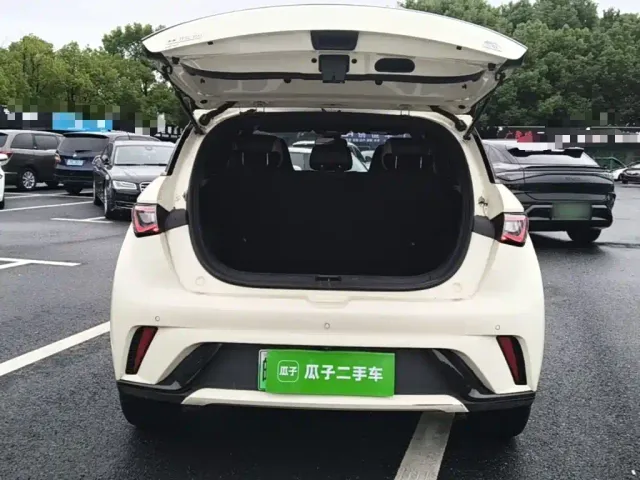 BYD Dolphin — Фото автомобиля 18
