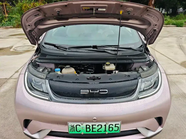 BYD Dolphin — Фото автомобиля 19