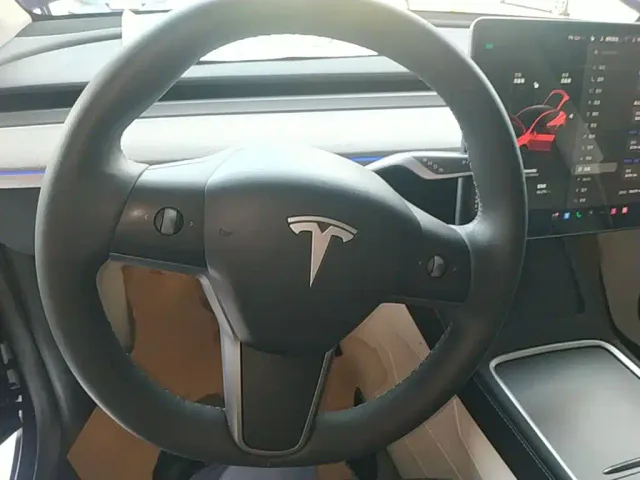 Tesla Model Y — Фото автомобиля 10