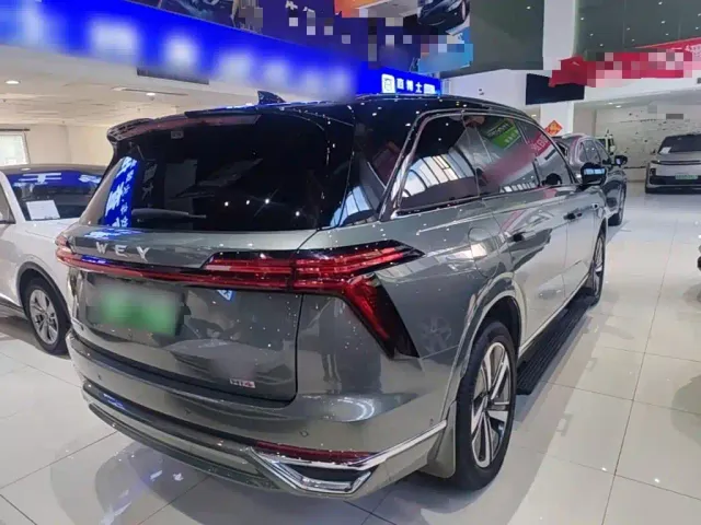 Wey Lanshan — Фото автомобиля 6