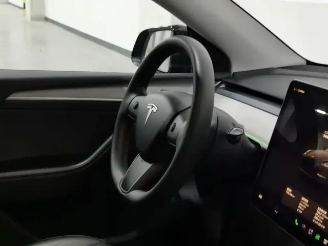 Tesla Model Y — Фото автомобиля 22
