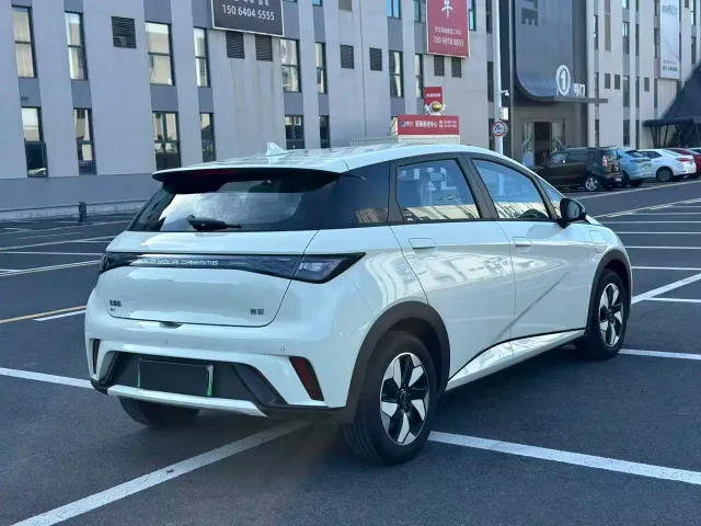 BYD Dolphin — Фото автомобиля 8