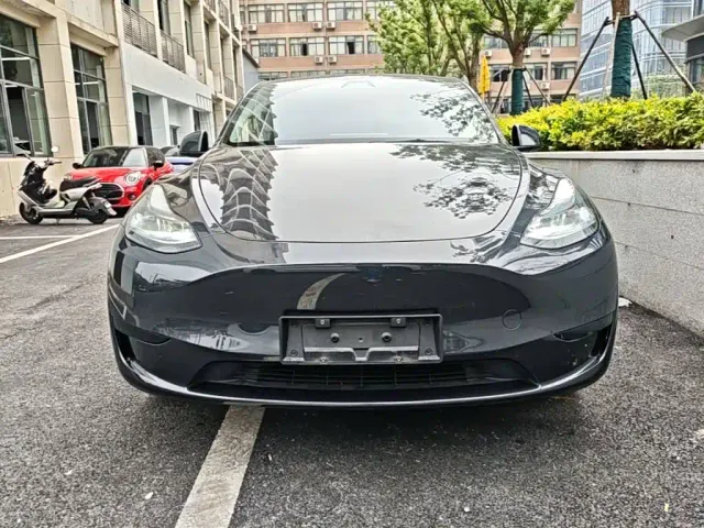 Tesla Model Y — Фото автомобиля 2