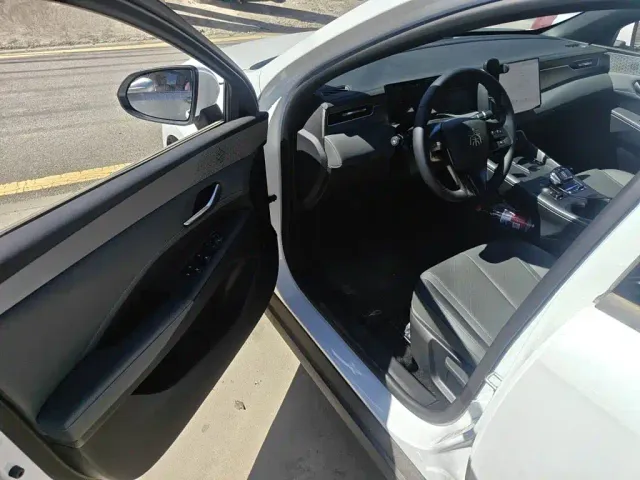 BYD Qin PLUS — Фото автомобиля 17