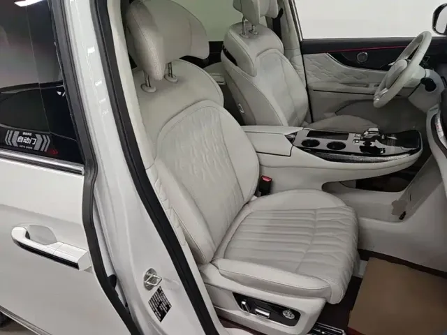 Forthing Xinghai V9 — Фото автомобиля 24