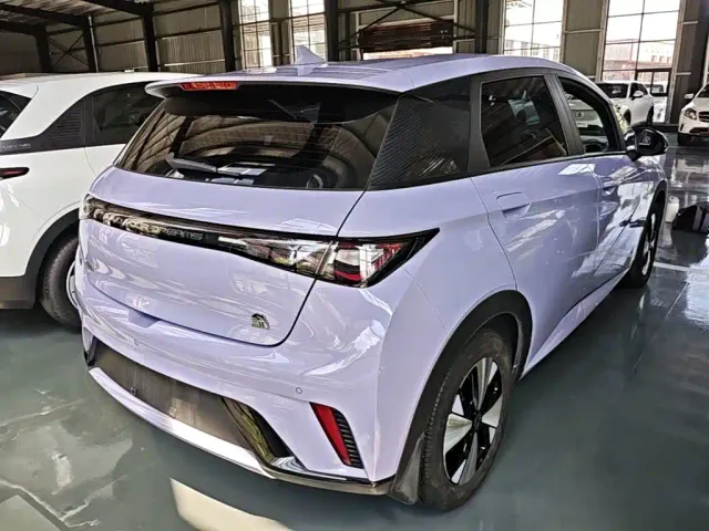 BYD Dolphin — Фото автомобиля 6