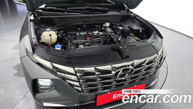 Hyundai Tucson Tucson (NX4) Бензин 1.6 турбо 2WD — Фото автомобиля 6