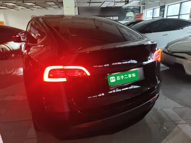 Tesla Model Y — Фото автомобиля 4