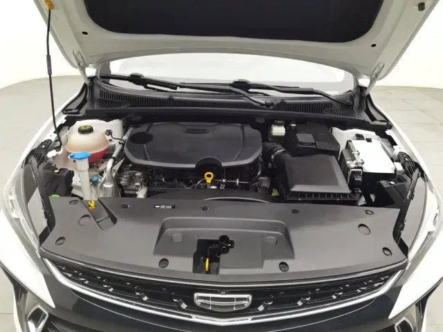 Geely Binrui — Фото автомобиля 6