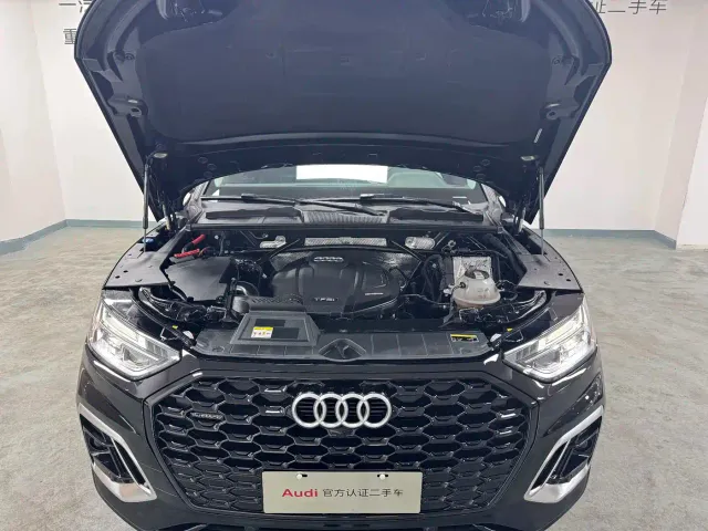 Audi Q5L — Фото автомобиля 19