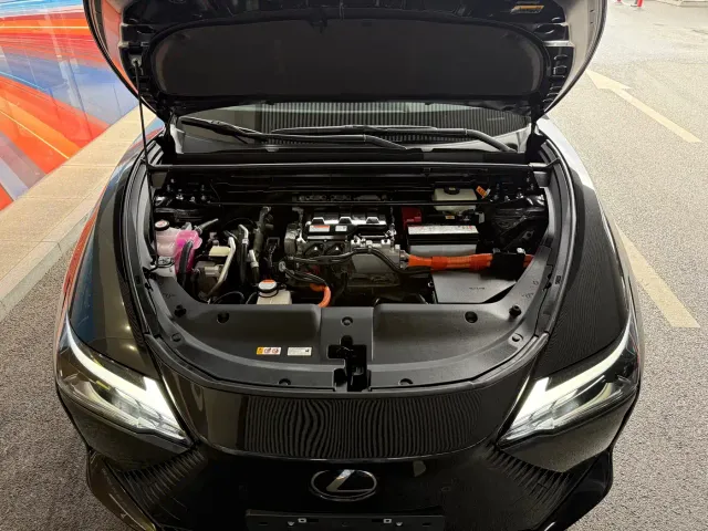 Lexus RZ — Фото автомобиля 11