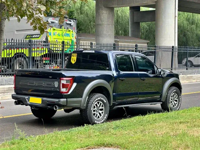 Ford F-150 Raptor — Фото автомобиля 19