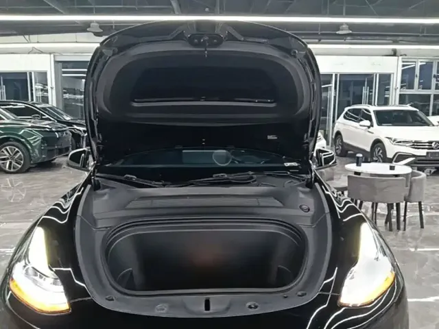 Tesla Model Y — Фото автомобиля 19