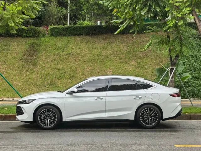 BYD Qin L — Фото автомобиля 3