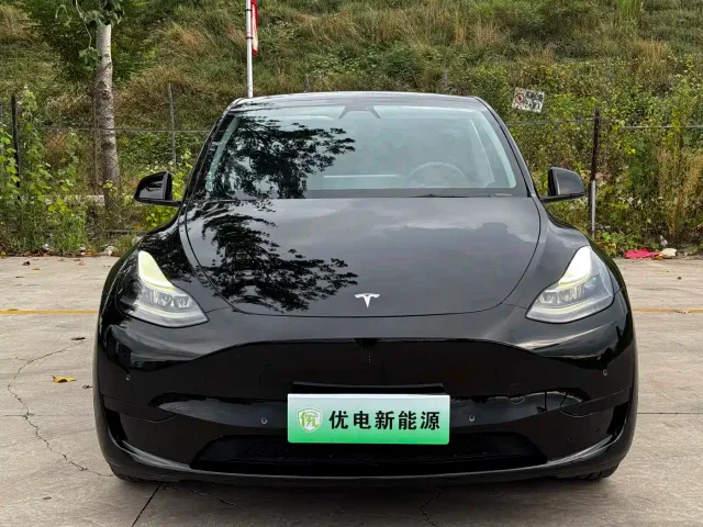 Tesla Model Y — Фото автомобиля 2