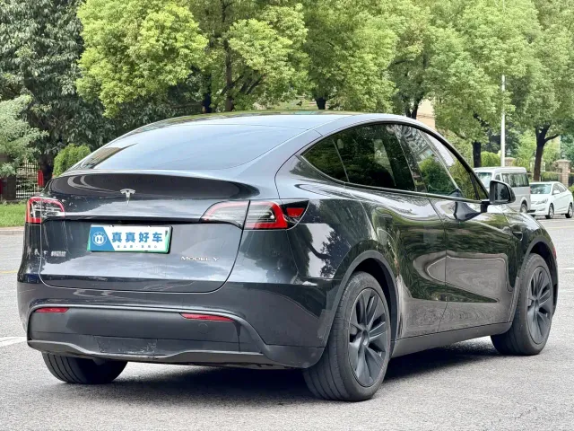 Tesla Model Y — Фото автомобиля 4