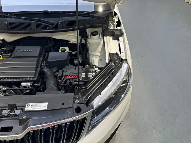 Skoda Kamiq — Фото автомобиля 30