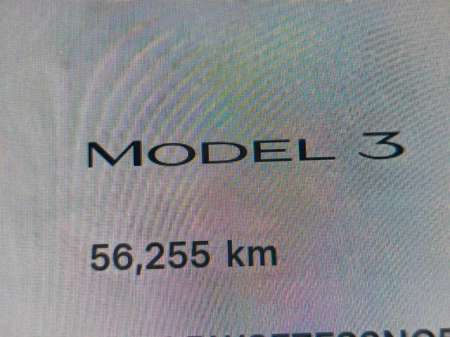 Tesla Model 3 — Фото автомобиля 15