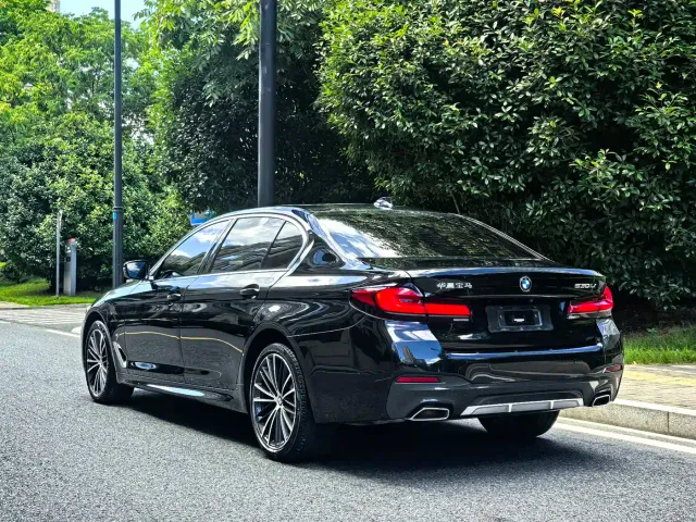 BMW 5 Series — Фото автомобиля 6