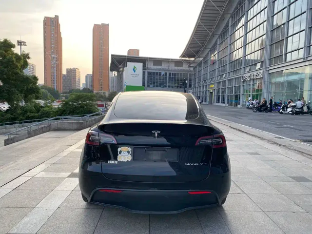 Tesla Model Y — Фото автомобиля 5