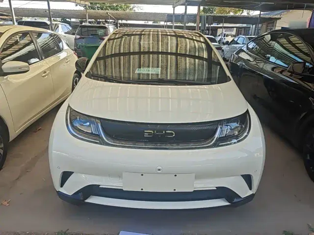 BYD Dolphin — Фото автомобиля 2