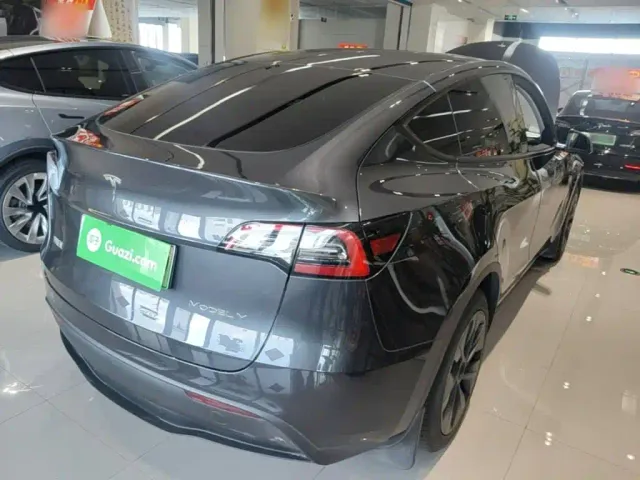 Tesla Model Y — Фото автомобиля 6