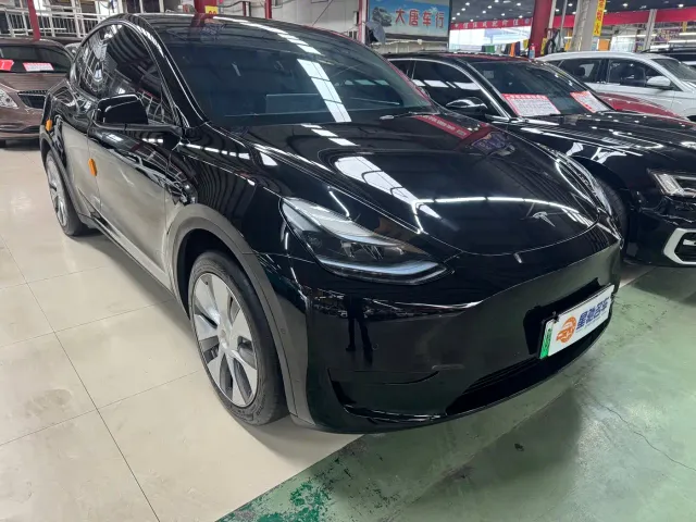 Tesla Model Y — Фото автомобиля 3