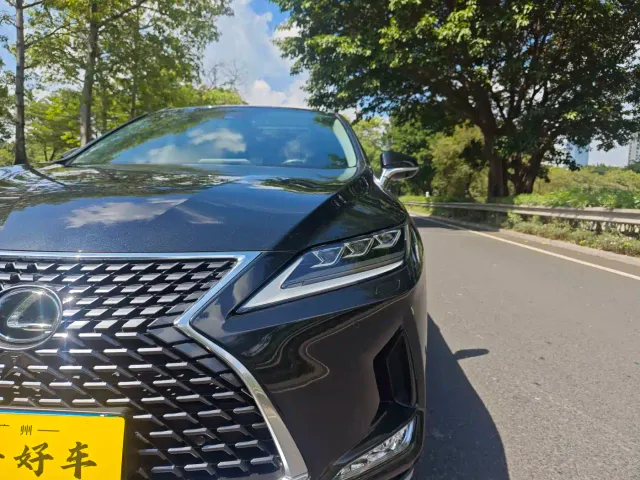 Lexus RX — Фото автомобиля 29