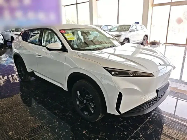 Dongfeng SKY EV01 — Фото автомобиля 21