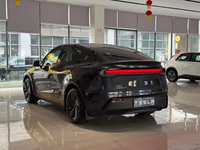 Tesla Model Y — Фото автомобиля 9