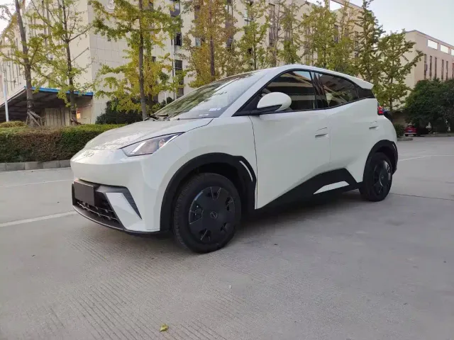 Фотография автомобиля — BYD Seagull