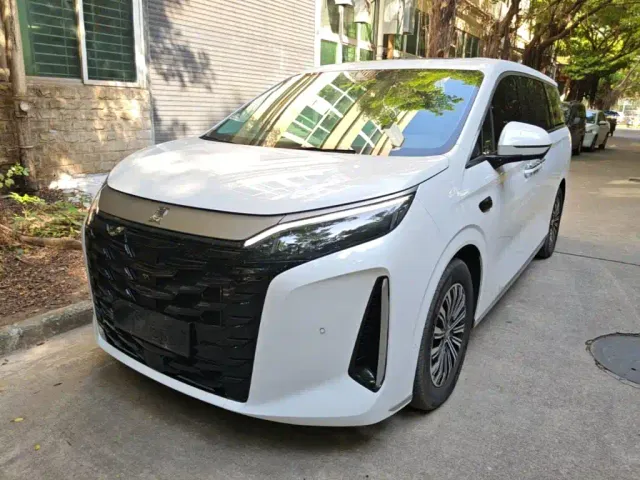 Фотография автомобиля — BYD Xia