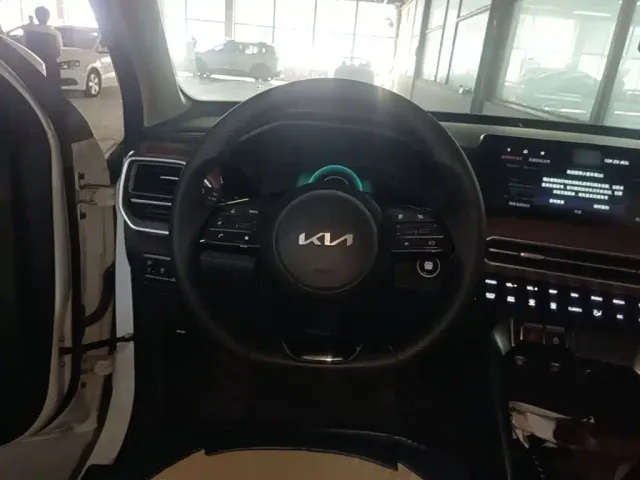 Kia Sportage — Фото автомобиля 10